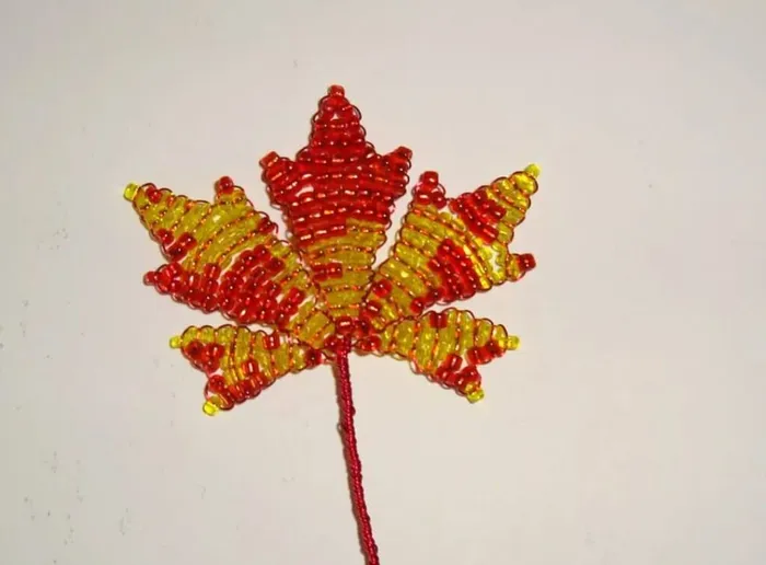 IMG-20241108-WA0014