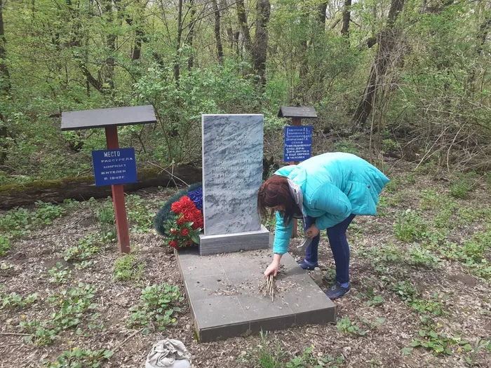 b0f8c36c-1996-44b0-81de-3c354899da06.jpg