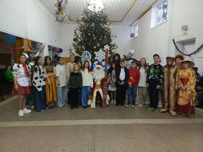 IMG_20241229_103207_466